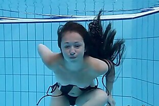 Спорт