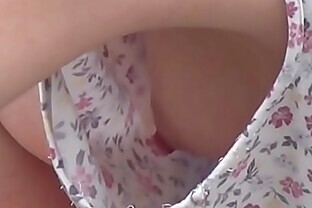庭園